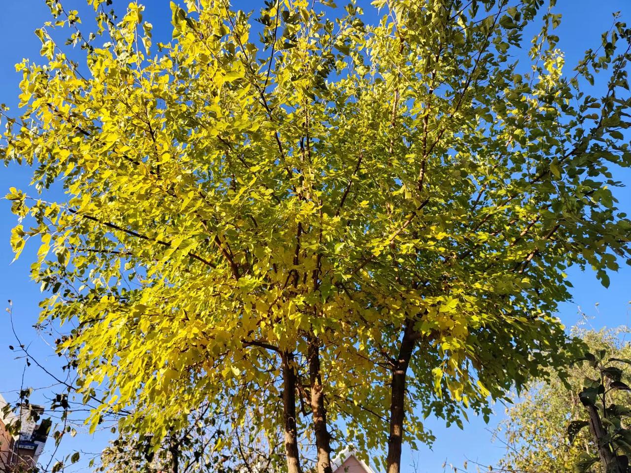 #分享随手拍的风景照#