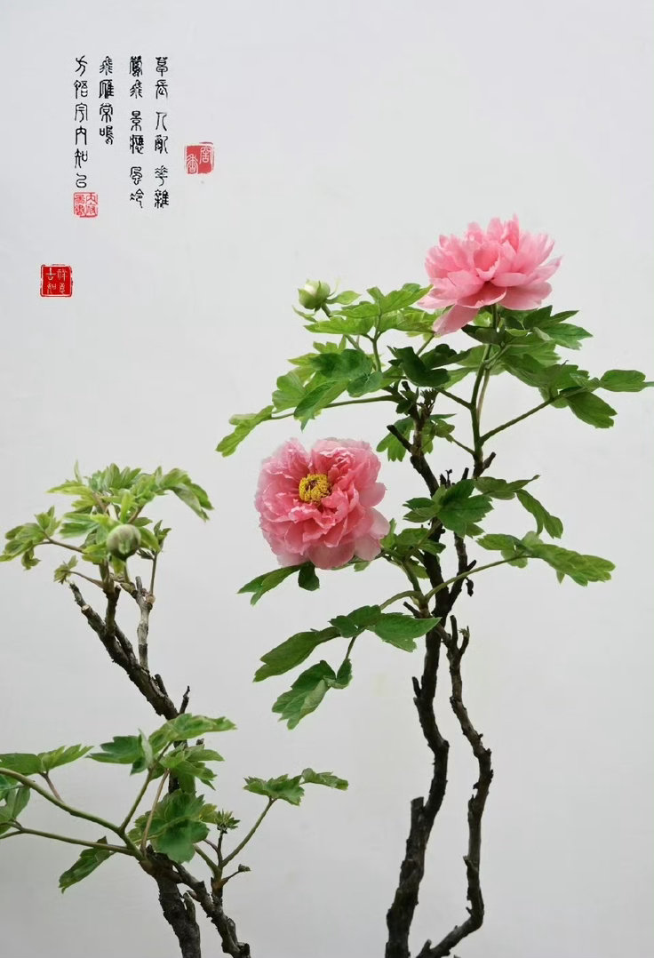 人总仰望他人的幸福，回头一看，才发现自己也正被仰望着。知足常乐，幸福属于每个知足