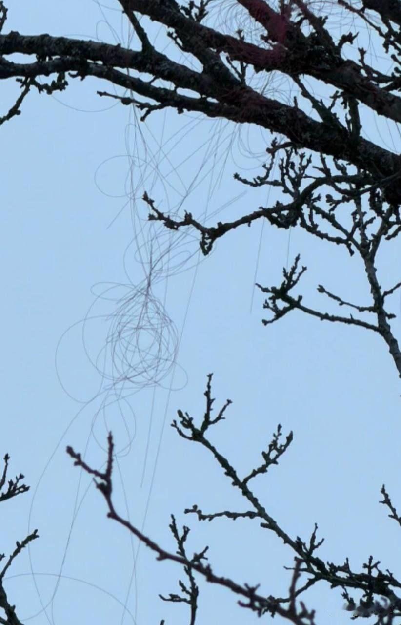 乌克兰国防部顾问：这是重大威胁，俄军光纤制导无人机已能飞抵哈尔科夫
 
乌国防部