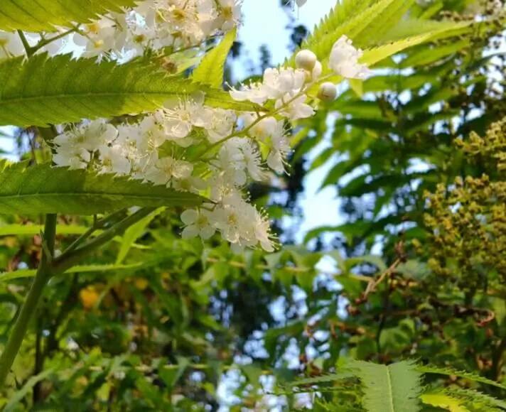 好奇明星的爸妈对他们的看法
每次在网上刷到一些评论，关于那些打压子女的父母，对于