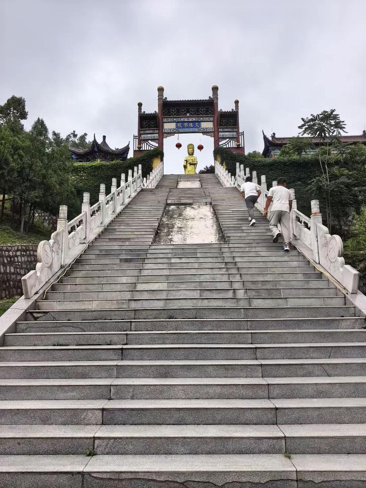 打卡千年古树