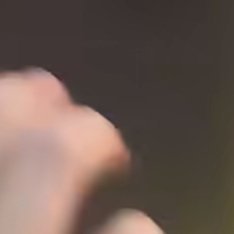 1800知彼知己，百战不殆；不知彼而知己，一胜一负；不知彼不知己，每战必殆。青春
