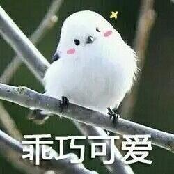当一段感情走到十字路口，我们常会感到迷茫与不安。其实，爱与不爱的答案，往往就藏在