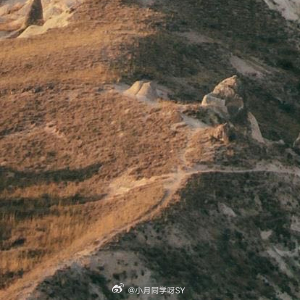 情感语录 “孤独不是身边没有人，而是心里的话，找不到该说的人。”“最好的陪伴，不