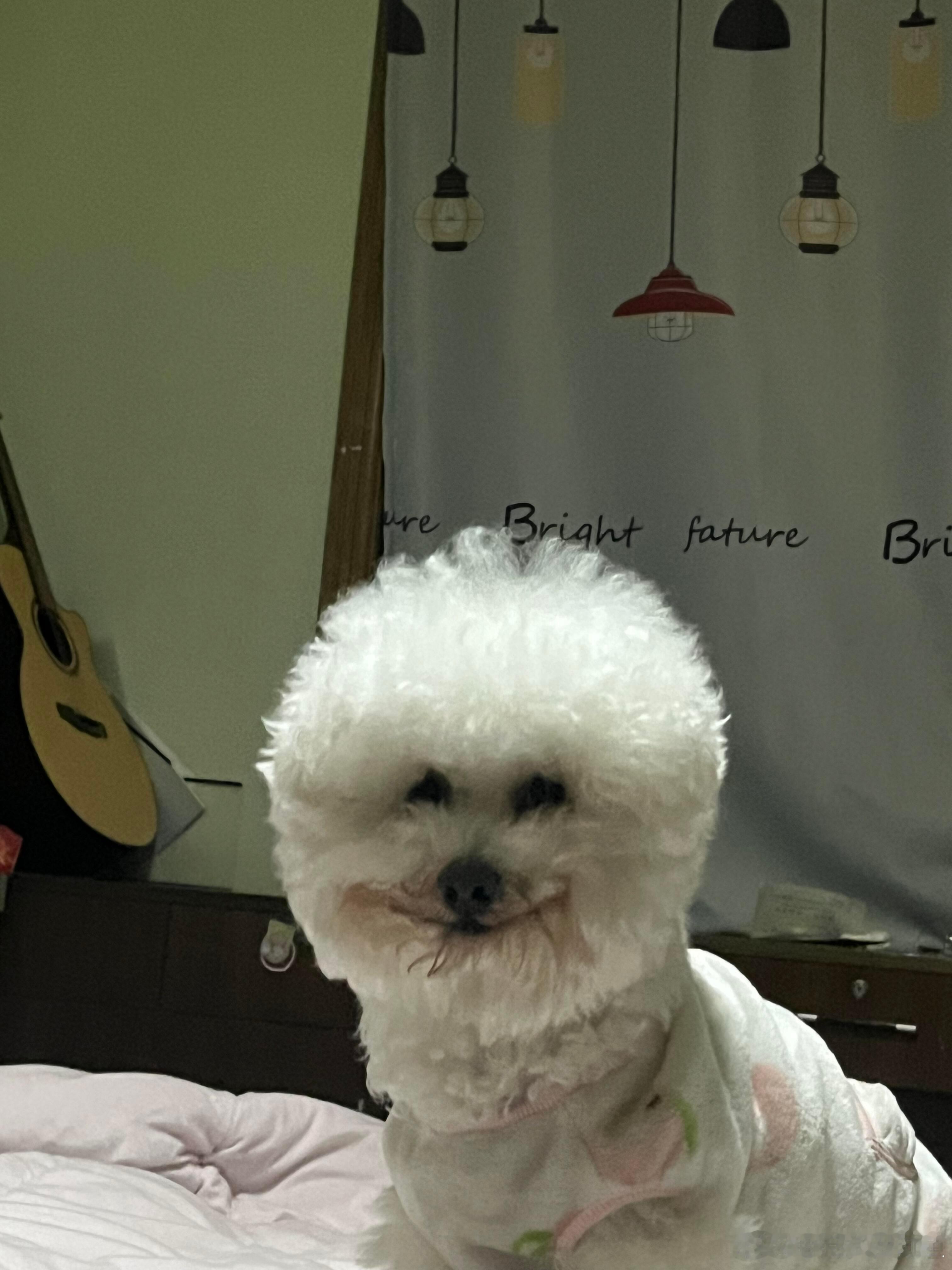 你别笑了，我害怕。 