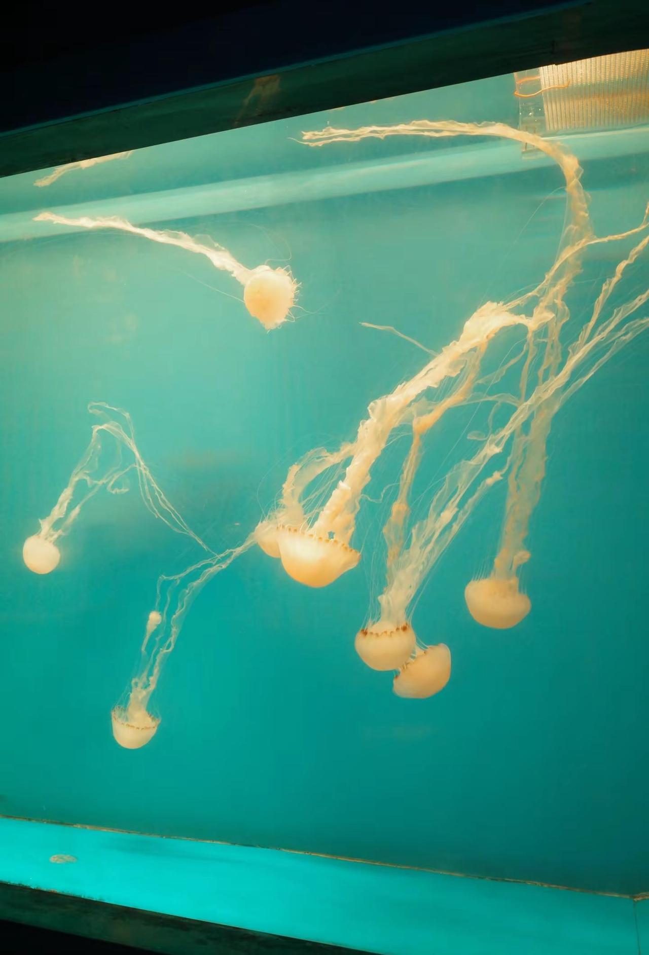 爱常在身边❤️