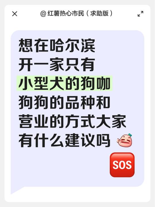 哈尔滨的小宝们在吗