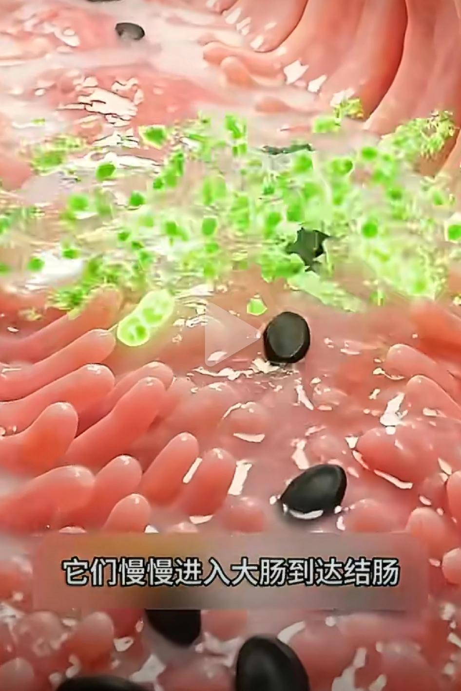 吞食西瓜籽会在肚子里发芽吗？对身体有坏处，还是有好处？
 
很多人吃西瓜时都会不