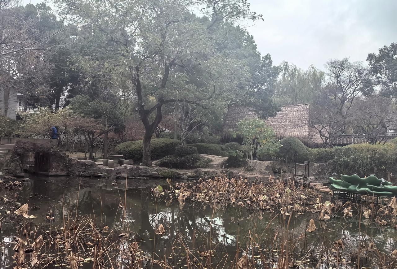 沈园败荷总伤心