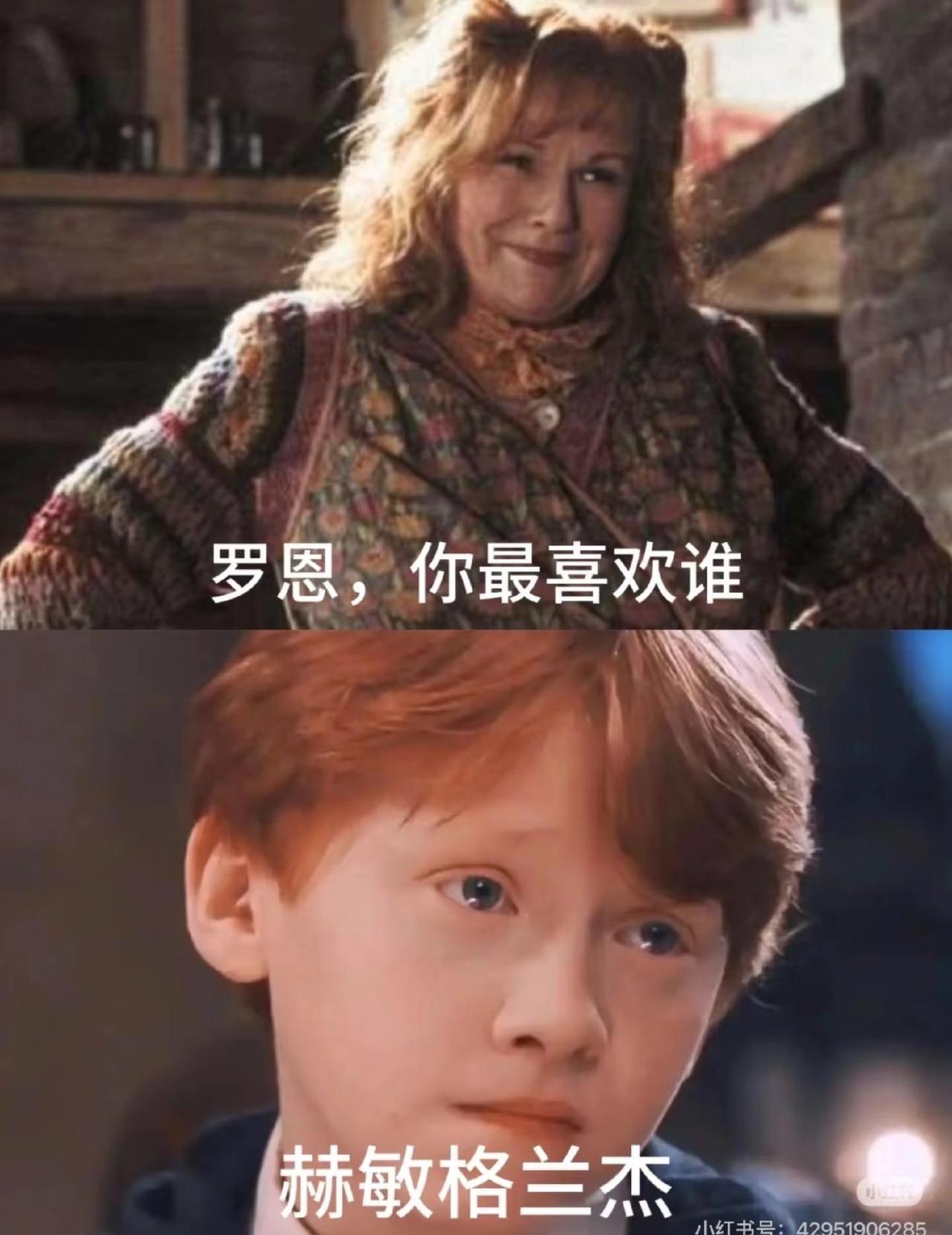 哈利波特梗图（6）
哈利波特 哈迷 无刀放心食用 梗图 斯莱特林 此图有梗