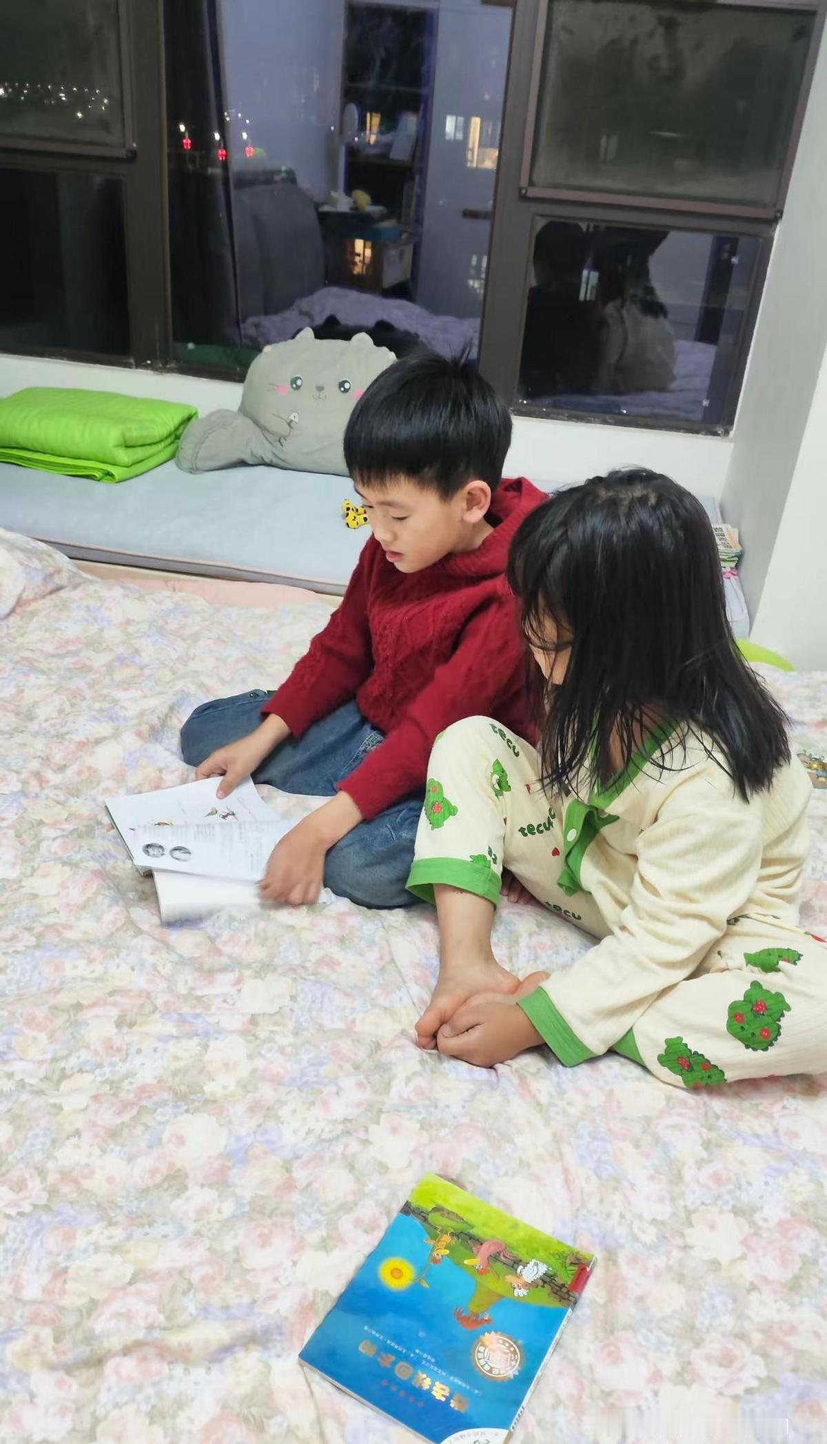 卡梅拉一套48本，老大的书，老二接着讲。
爸妈读过，孩子复述，家里成了故事传声筒