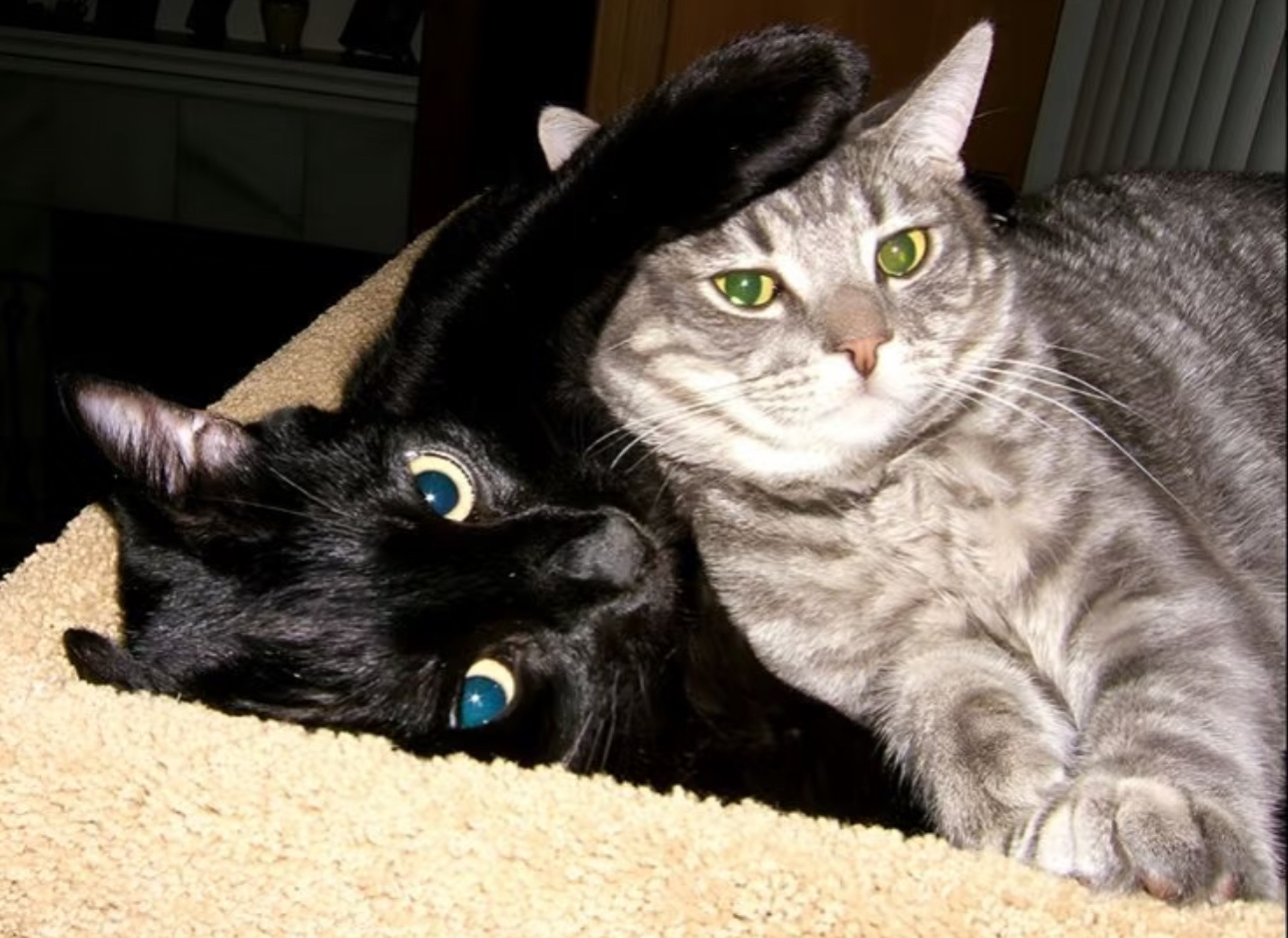 召唤师们早上好今天你们那边的天气怎么样呢