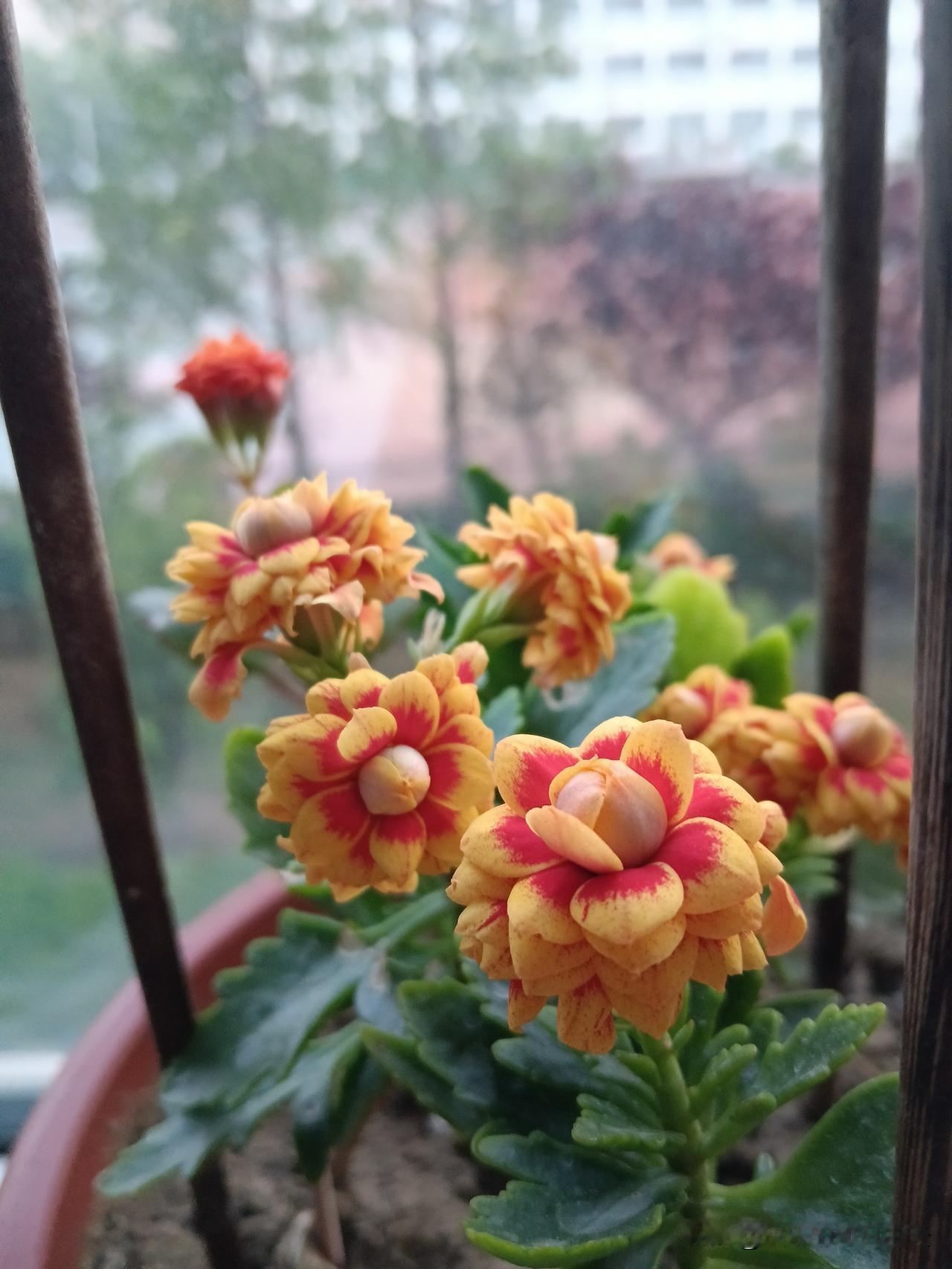 没钱时务必这样做：
每一分钱都花在刀刃上。
衣服追求少而精，穿破再购置。
杜绝所