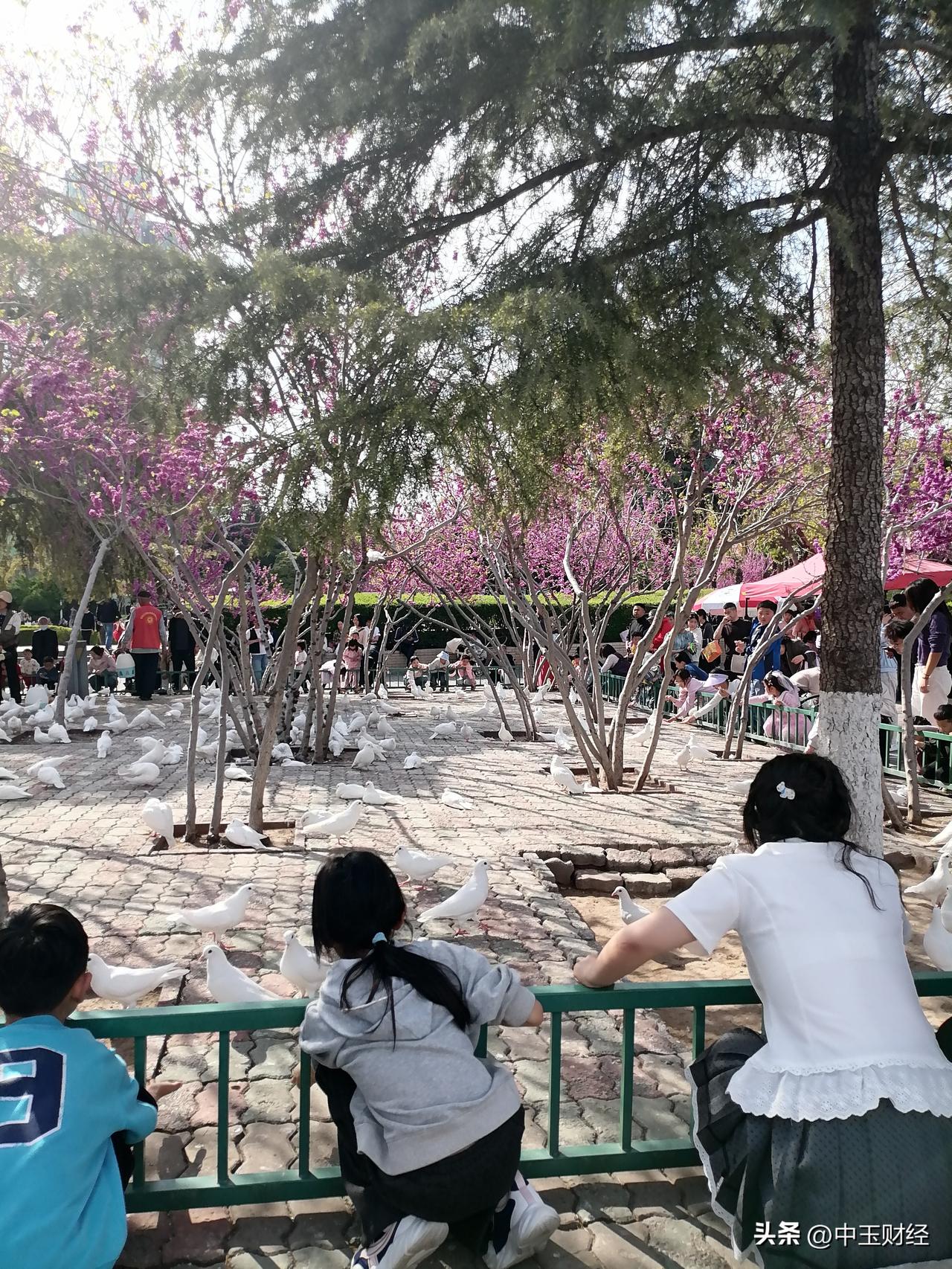 支持你
春天有很多新鲜的蔬菜或树食，比如菠菜，榆钱槐花等等，不仅新鲜可口，而且有