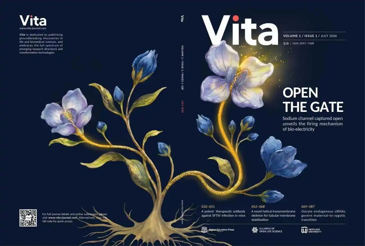中国自己的顶刊来了，叫《Vita》！
8月7日的时候，我发了篇文章《科研成绩单亮