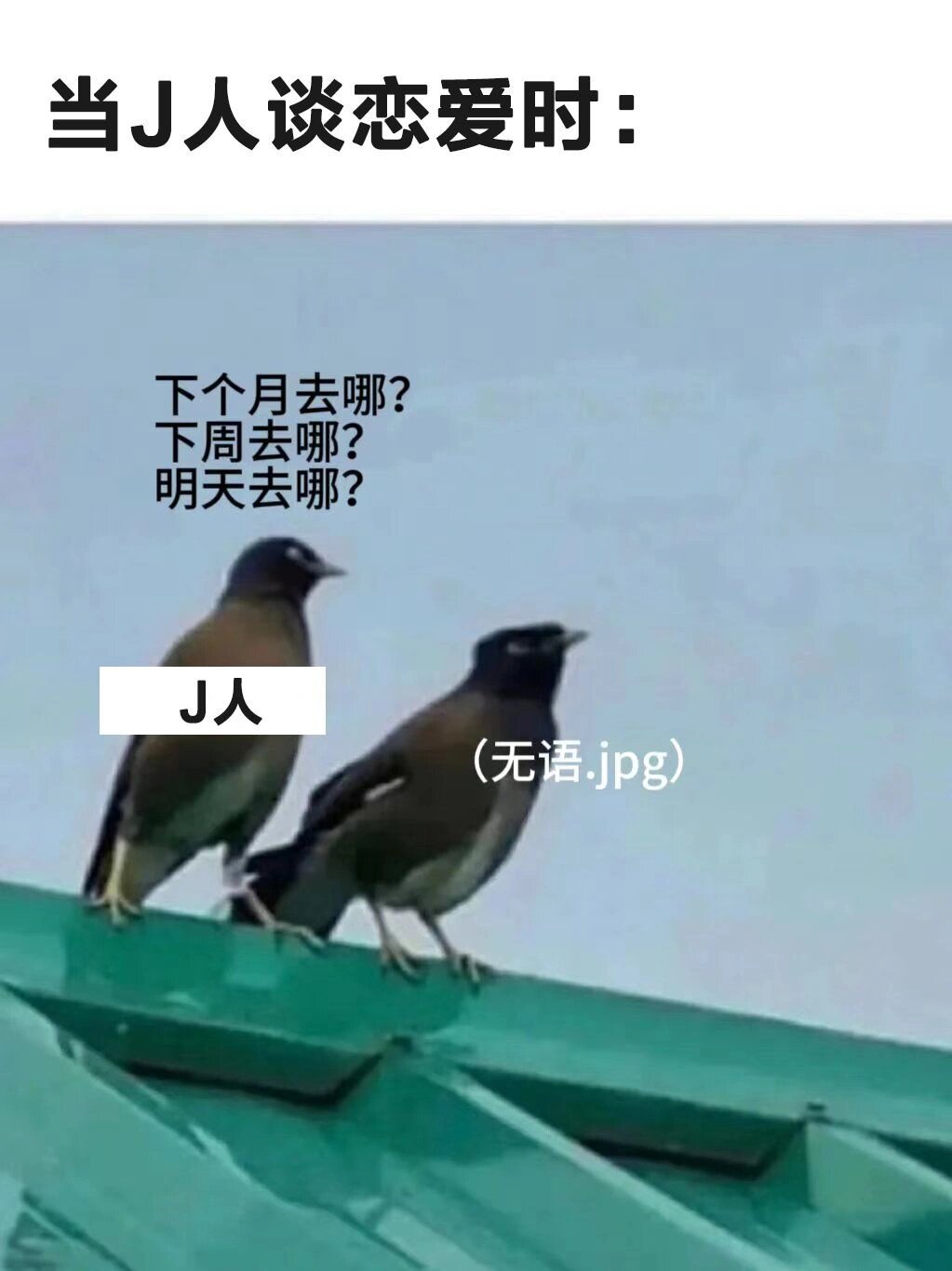 #J人和P人做年终总结# 嘿嘿，嘿嘿，嘿嘿嘿～ ​​​