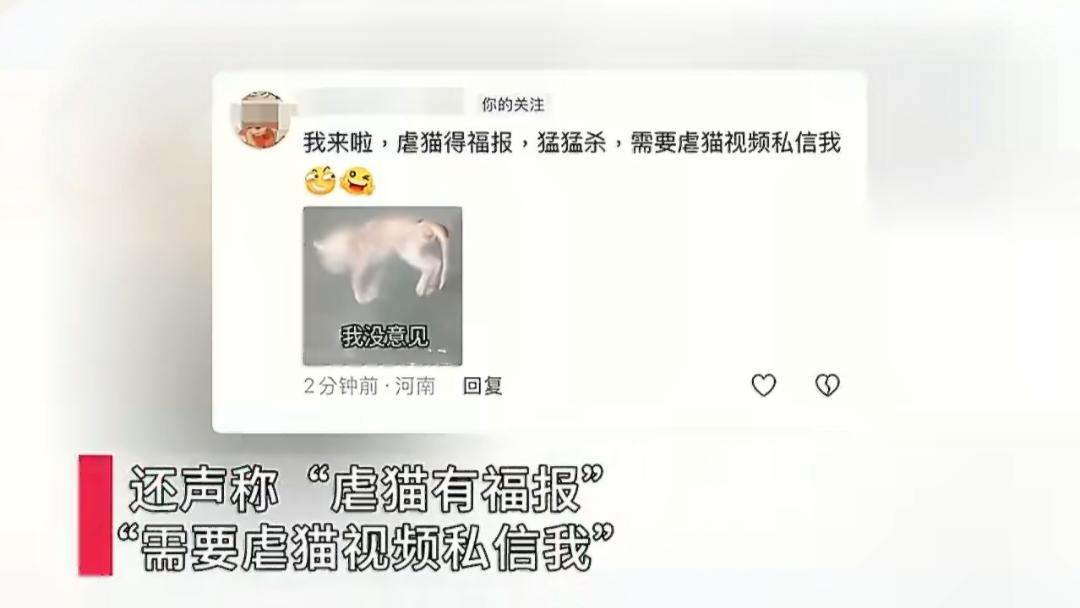 郑大学生虐猫还嚣张挑衅：“赶紧报警，虐猫有福报”！

5月15日，记者联系了发帖