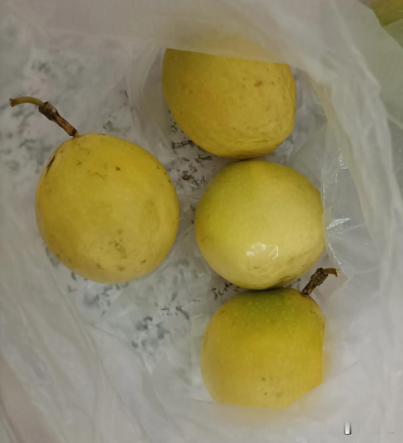 我特别爱吃水果，要是两三天不吃水果，我就浑身不自在，老难受了。

今晚和老公一起