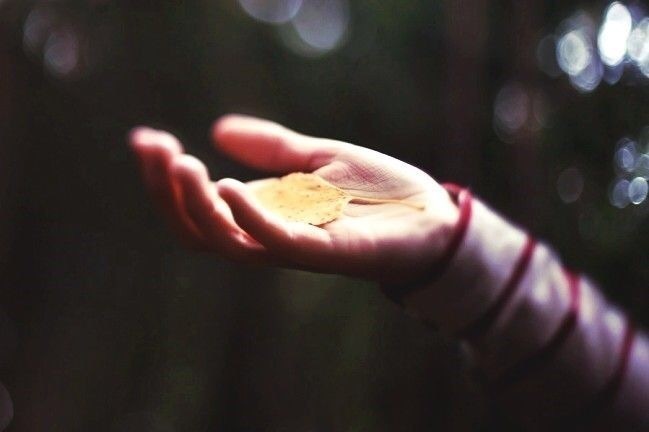 不要对日常生活太过敏感。和什么样的人一般见识，你也就是什么水平。—— 渡边淳一《