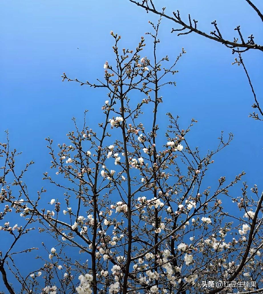 现在意外真的无处不在，年纪轻轻的一个人说没就没了。
一名老乡的儿子正月初几就高高