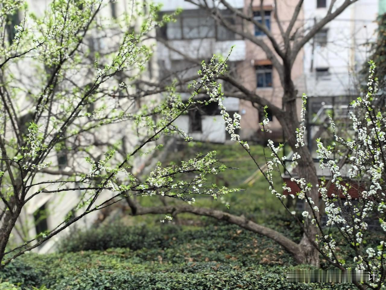 早上好！如果你想要善用自己的生命能量，“散财”绝对是必不可少的。要时刻提醒自己钱