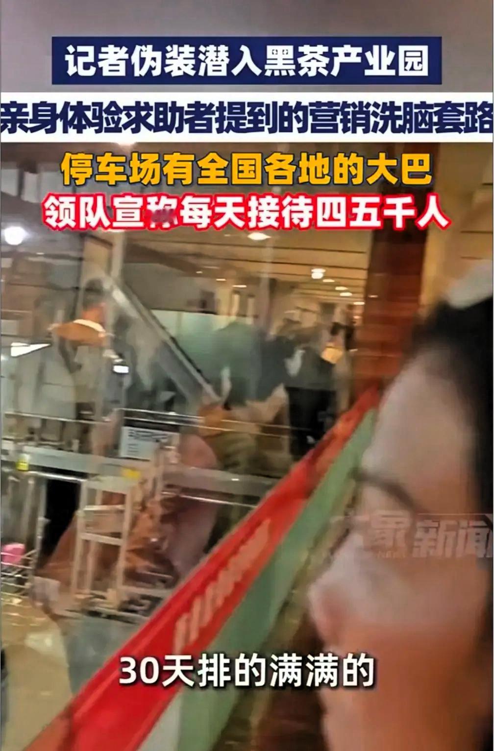 刚看了记者卧底黑茶产业园的新闻，每天拉来4，5千人，真是触目惊心。

运作模式存