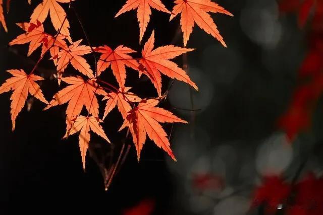 ，邀对下联:？下联：笑品万种情

“笑品”生动展现出一种平和、豁达的心境，与“苦
