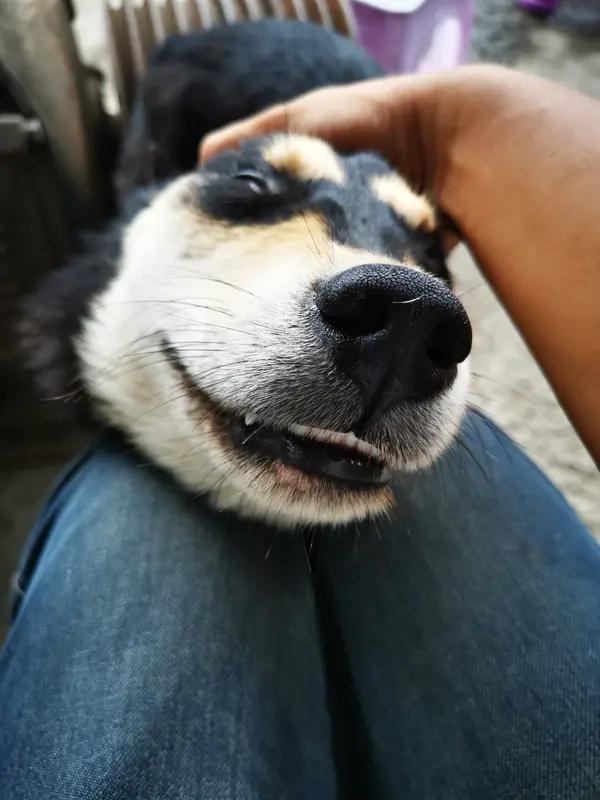 今天笑了吗？要是还没笑，那我来给你分享点乐子。就想象有这么个场景，一群小伙伴喊着