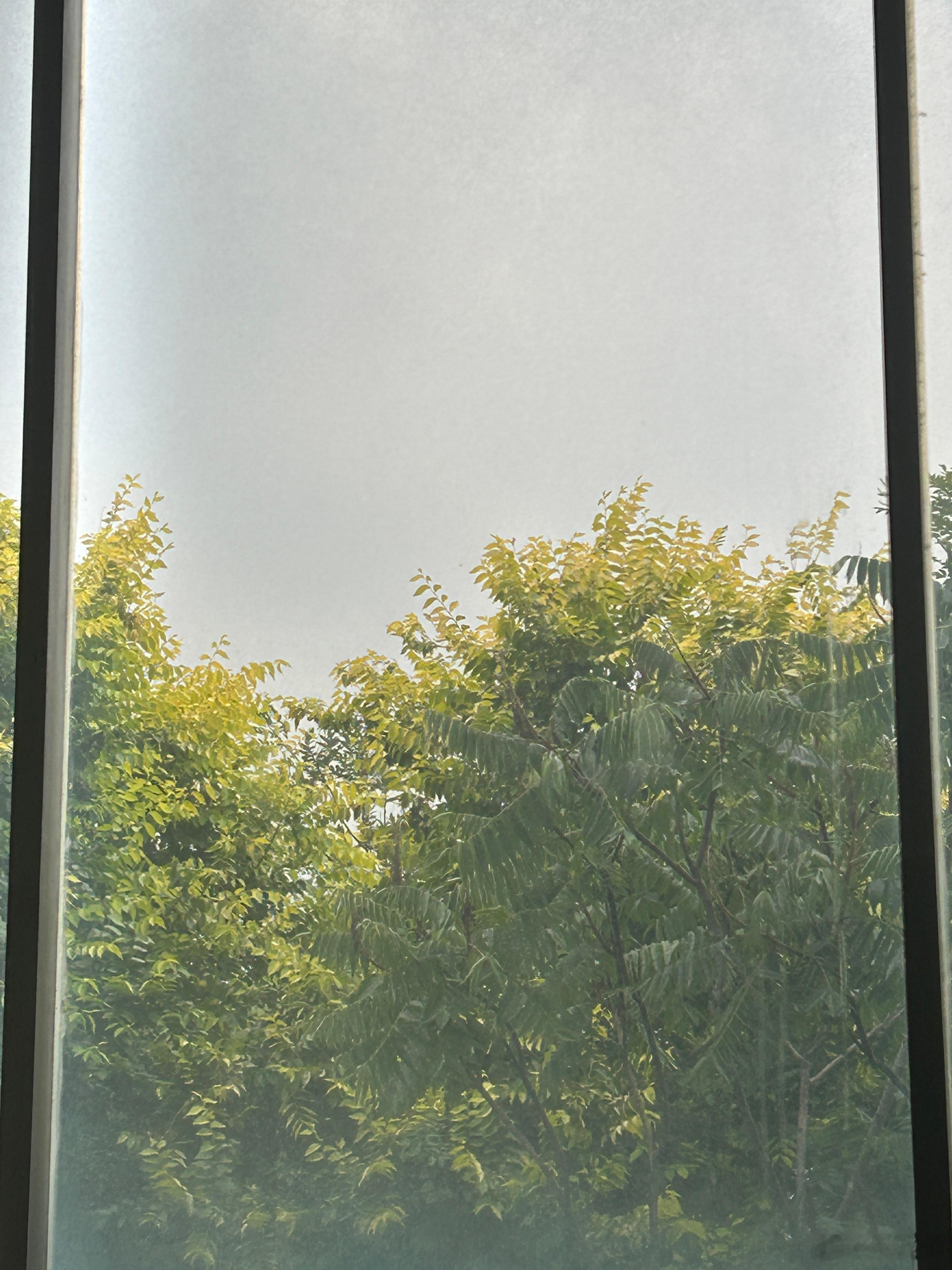 感觉要下雨，又阴黑了