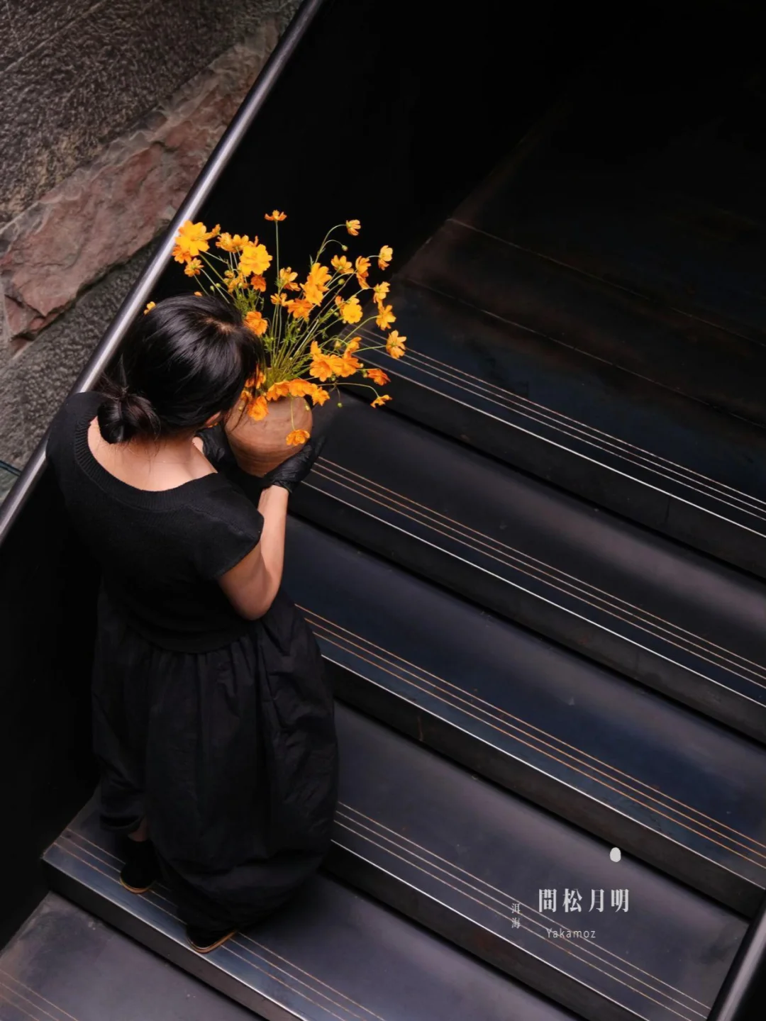 明月松间｜洱海初秋秘境，枕一窗烟波如梦🍂