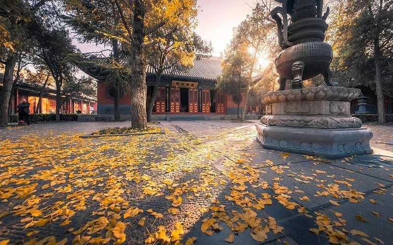 在修行的路上，能够忍耐的人，能够忍辱的人，那就是成功的基石。没有一个人可以在人间