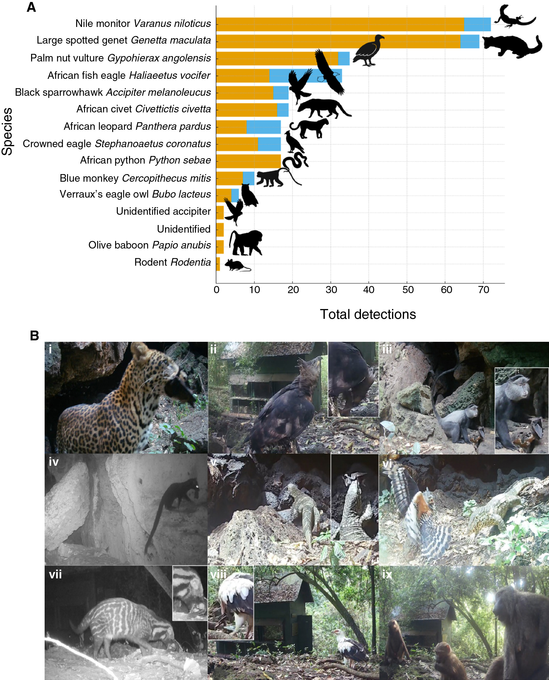 刚发表一个听起来有点毛骨悚然的病毒研究。大量人类反复进出一个蟒蛇洞，而这个洞里面