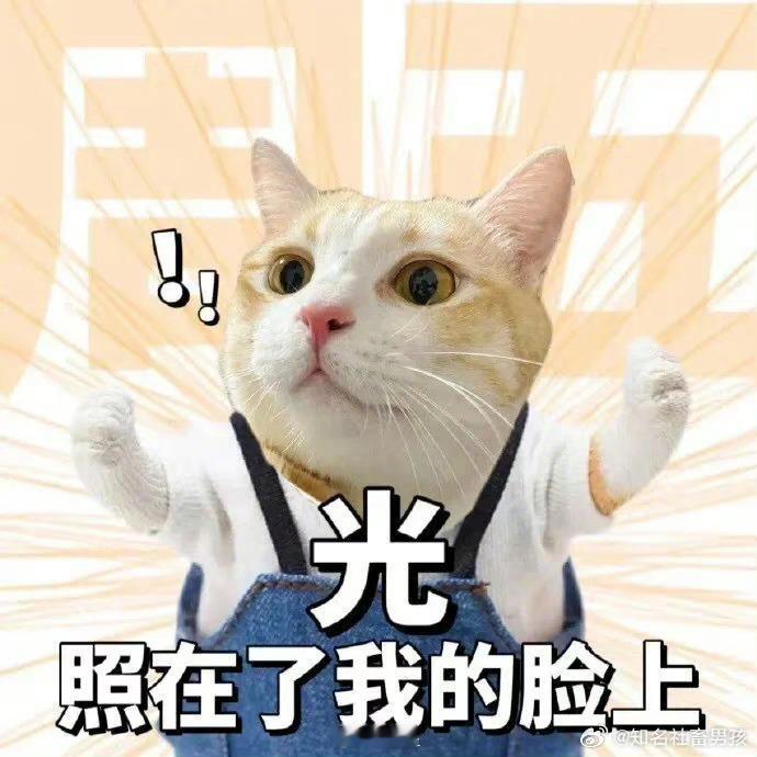 亲爱的宝子们，早上好呀！！周五周五，敲锣打鼓[并不简单][并不简单] ​​​