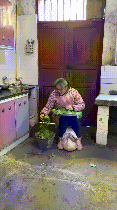 二哈太生猛，
这是想吃铁锅炖大鹅吖！
大鹅也不示弱，
我那夹子嘴也不是干白饭的！