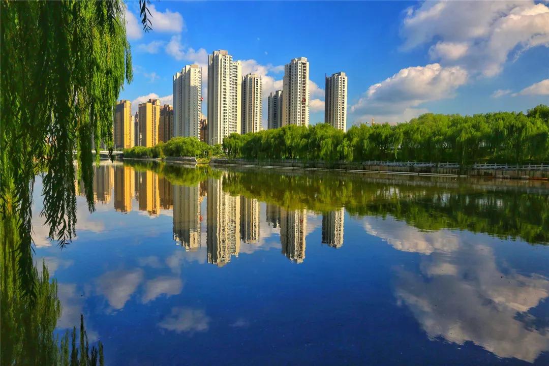 《社交的留白》

在这个喧嚣的时代，我们似乎总被一种无形的焦虑裹挟：害怕孤独，于