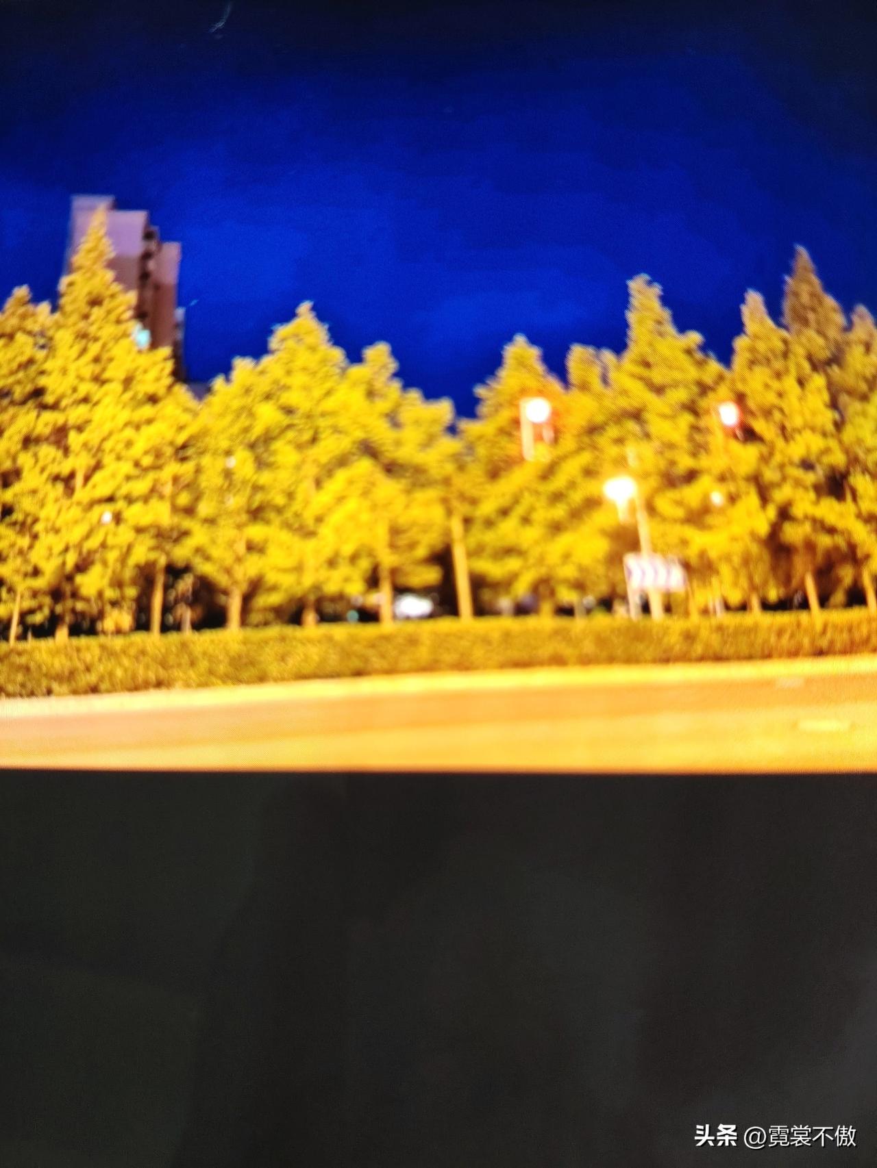 晒图笔记大赛灯光下的小树林
