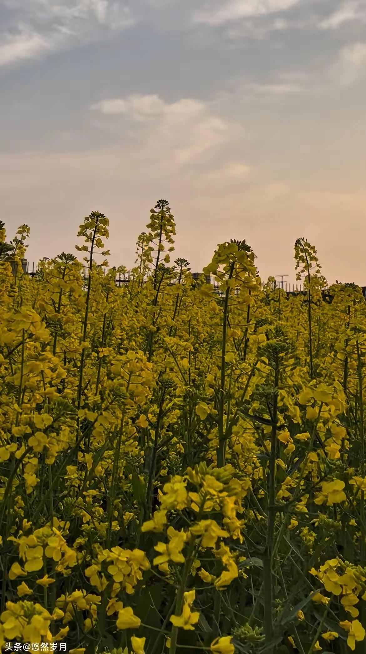 世界上最好的15个免费医生
​1、第一，早睡
不用花一分钱，却能修复你一天的疲惫