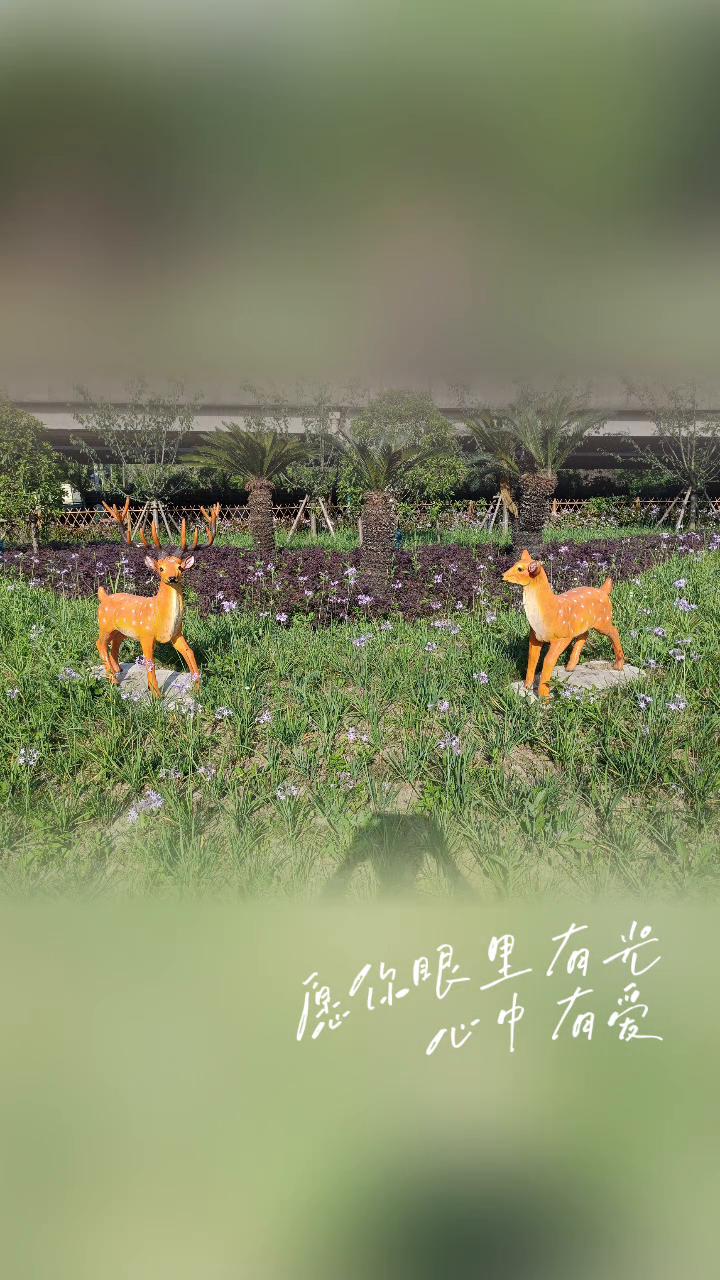 浪漫五月已经抵达，人生的故事写在四季里。愿你一路出发，一路繁华。愿你眼里有光，心