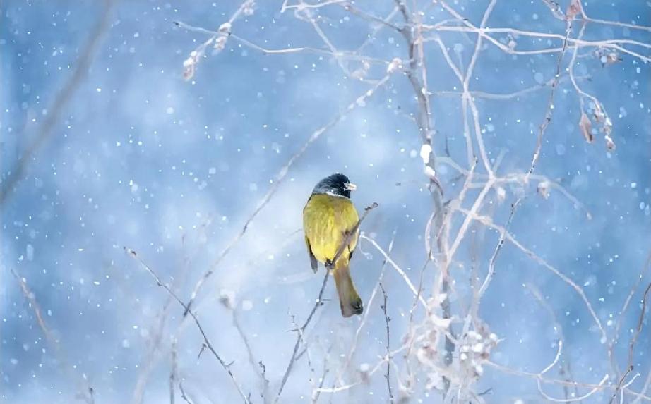 当然，自己的伴侣在不治，也比个外人强。
两口子风风雨雨一辈子，其中的酸甜苦辣，也