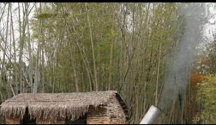 山风来，晾肉香

昨晚的山雨来的悄无声息，山风夹着毛毛雨，也不知下了多久，清晨推