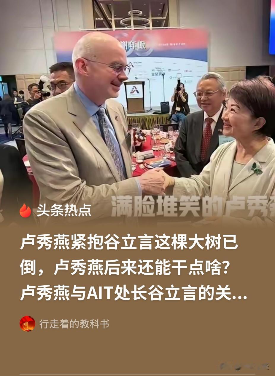 台中市长卢秀燕最近会见美驻台湾办事处代表谷立言时提到了无人机产业，她说美国在这个