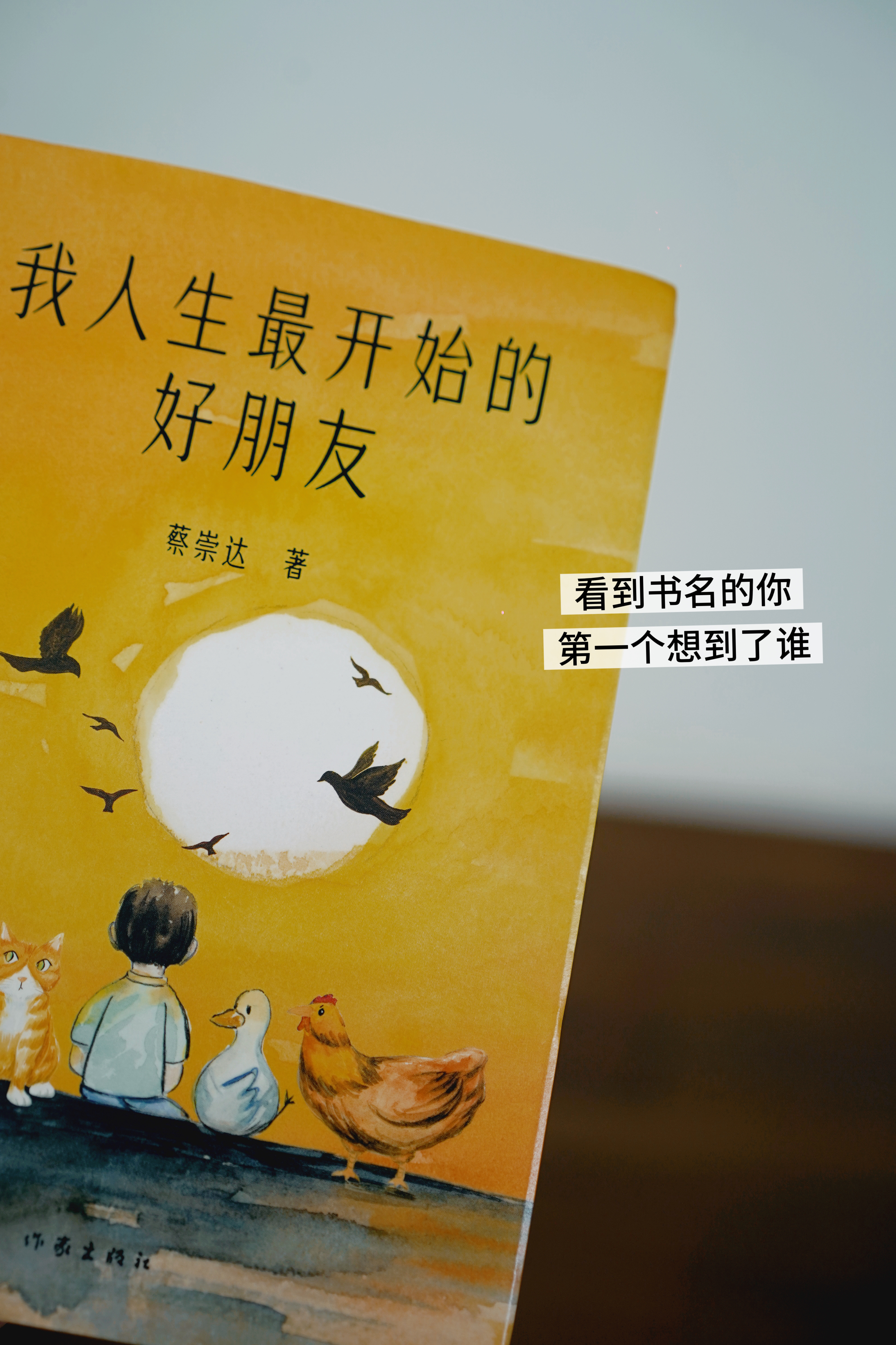 每天被问一百遍这个荷花怎么不开花