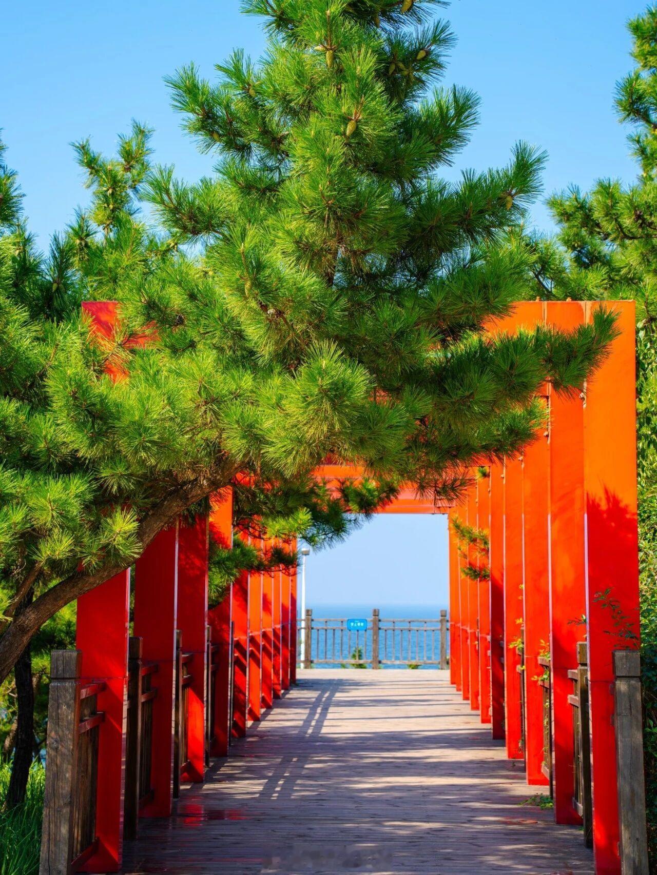 烟台滨海路机位合集来了 来烟台旅游的友友们要一句劝 ，一定要留一整天给滨海路！烟