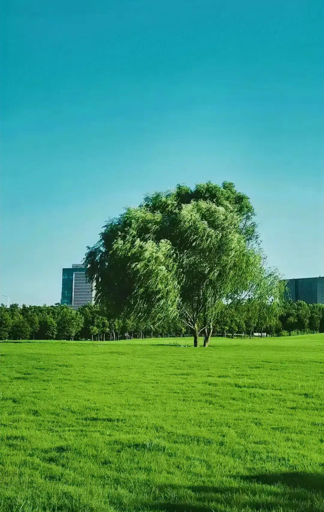 世界上有两根杠杆可以驱使人们行动——利益和恐惧。
——拿破仑［法国］