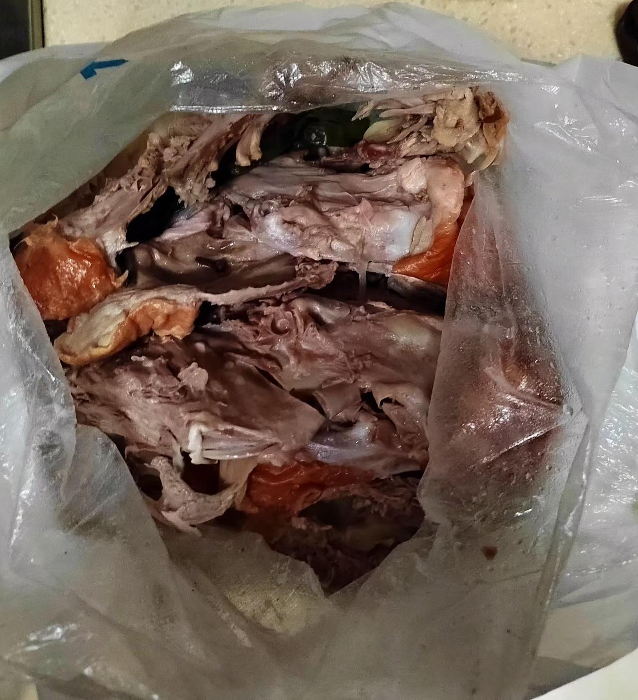 感觉活着不如狗。
说来不怕笑话，我现在隔三差五就等着朋友从庐州烤鸭店带鸭架回来。