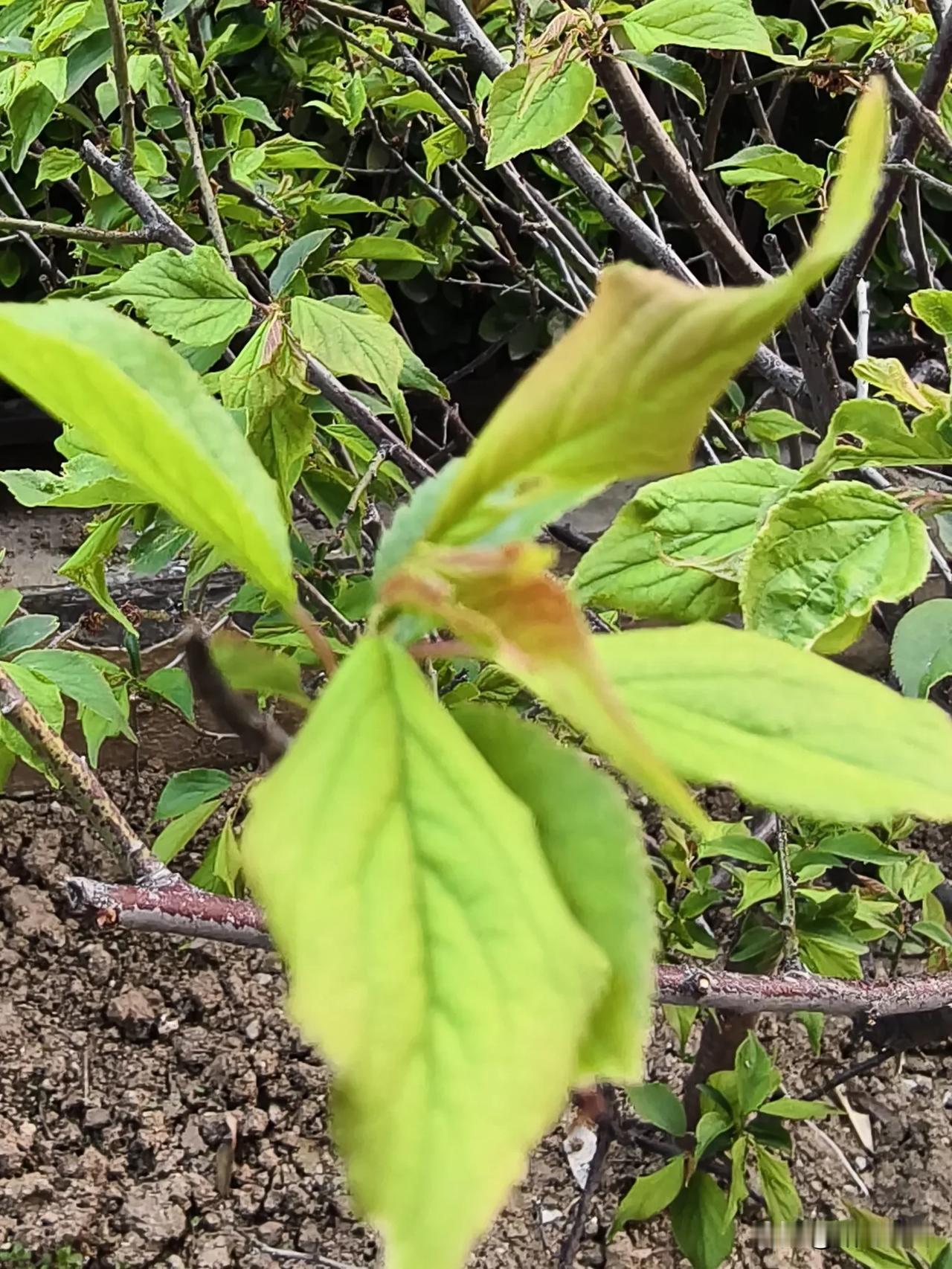 今天被一句话提醒，觉得自己以前的做法有点欠妥。

今天刷到大冰老师的一个视频，听