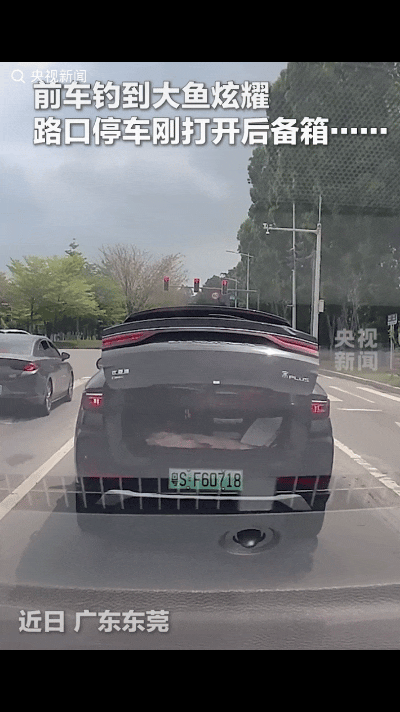 “万万没想到”！一司机在红绿灯路口的时候，前车的后备箱突然打开了，里面有一条鱼，