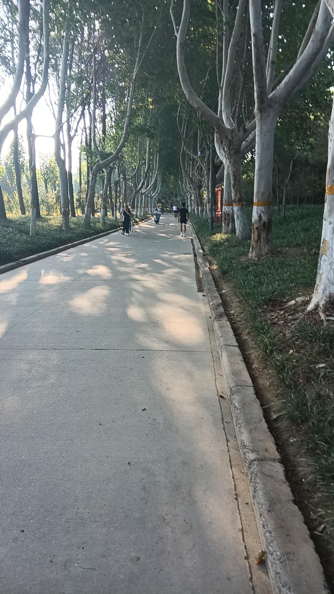 家风不正是不是也遗传，村里有一个女的今年七十多了，年轻时风流成性，与本村的邻村的
