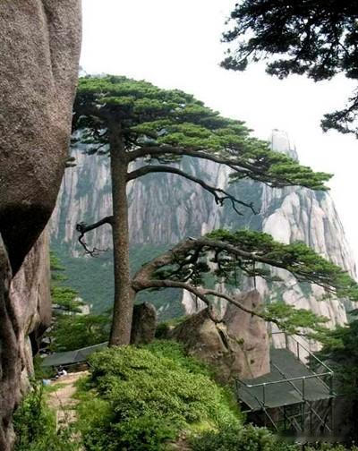 万能生活指南在教育的广阔天地里，每个学生都是独一无二的个体，他们带着各自的梦想、