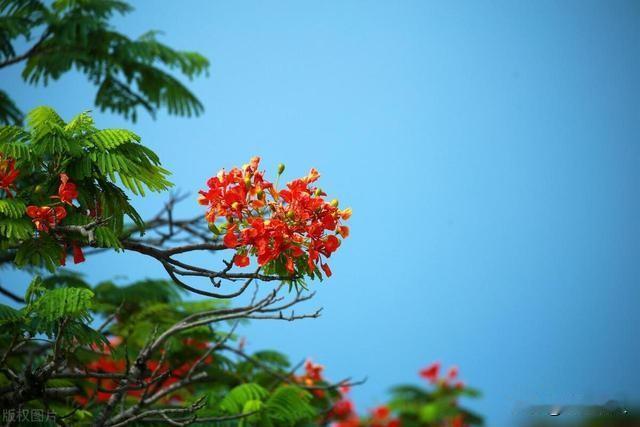 我相信命运。
万般全在命，半点不由人。无论是生老病死，还是悲欢离合，都是命中注定